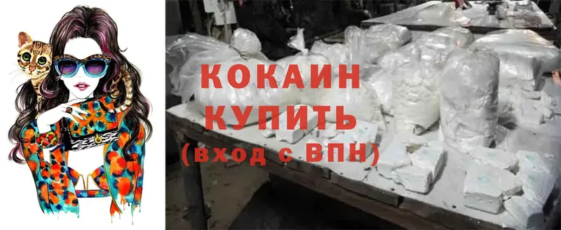 где найти   Порхов  Кокаин Fish Scale 